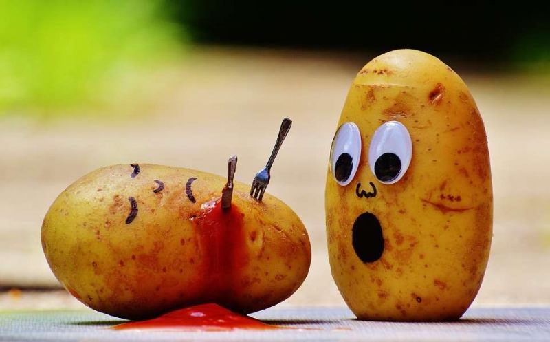 马铃薯引起食物中毒怎么办马铃薯的好处